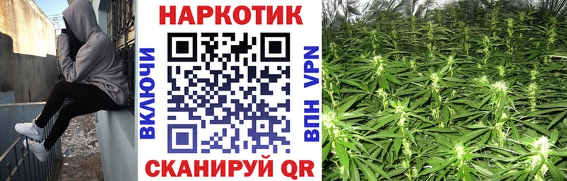 Где купить наркоту Кяхта Cocaine  Alpha PVP  Бошки Шишки  кракен сайт  Меф мяу мяу 