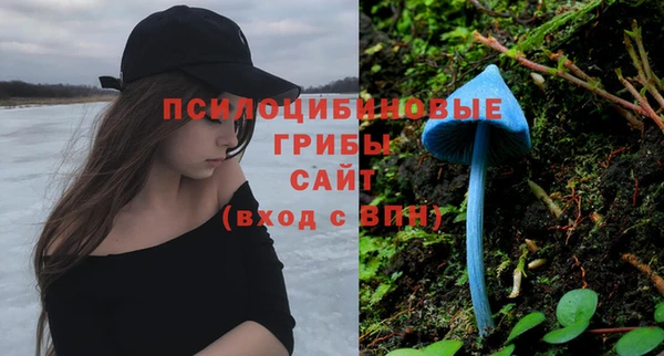 гашик Армянск