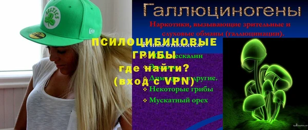 Альфа ПВП Аркадак
