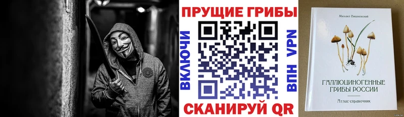 Псилоцибиновые грибы Magic Shrooms  Кяхта 